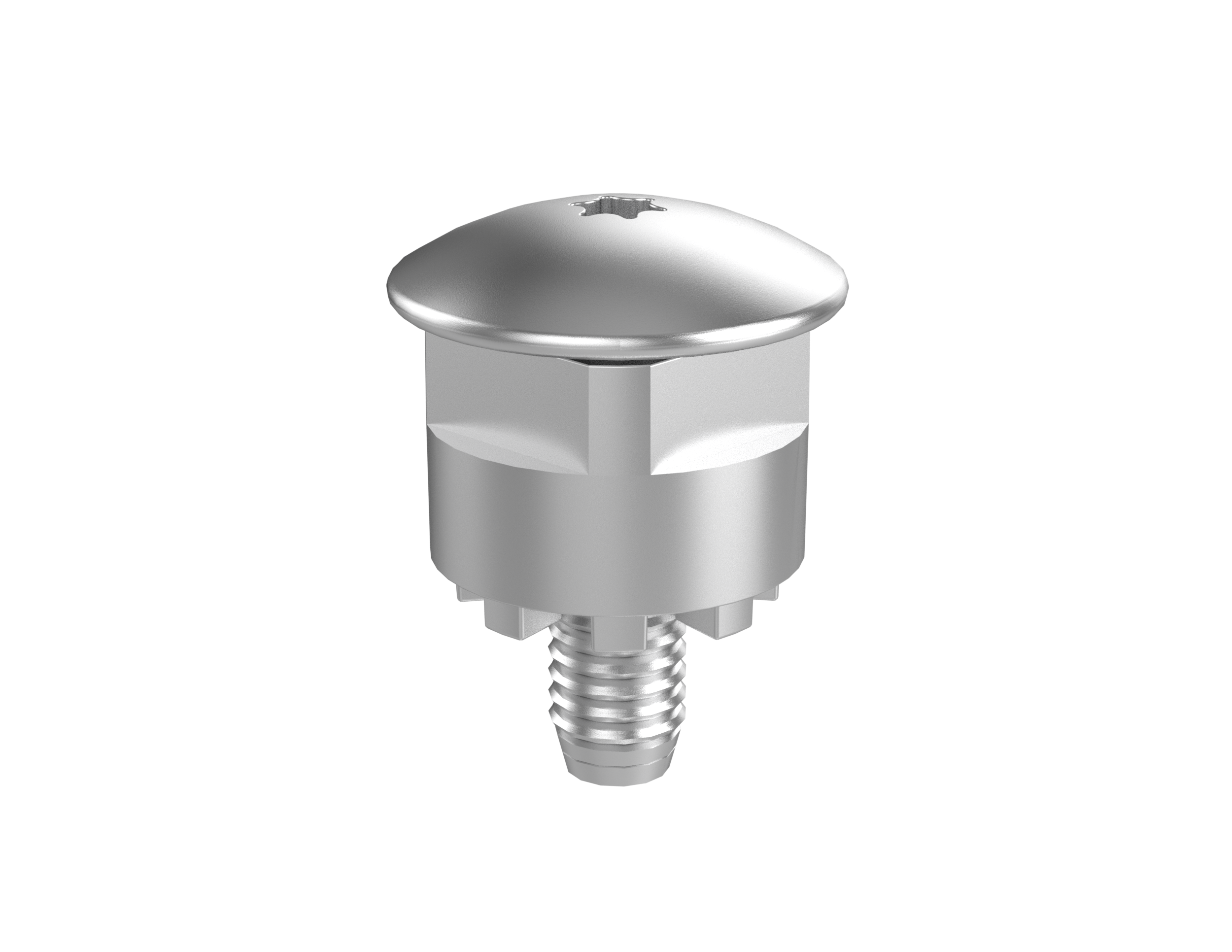 Vision Standard Zapfenadapter