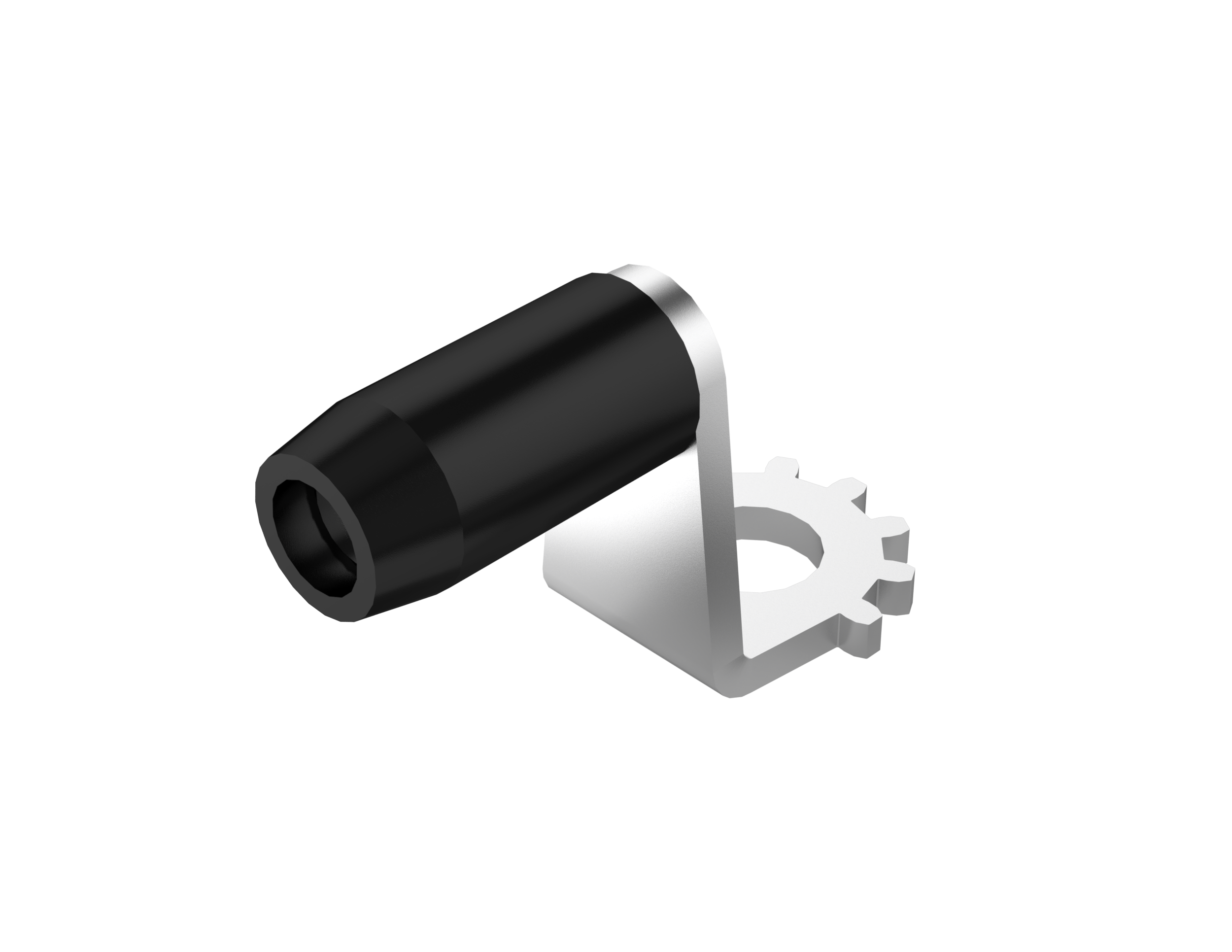 Vision Inside Rollzapfen